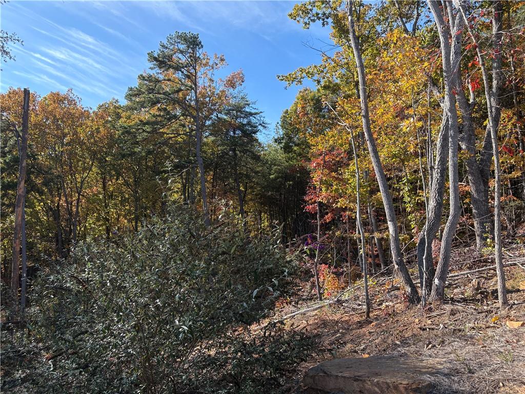 1600 Sunset Trail Talking Rock, GA 30175 - Photo 6 of 9