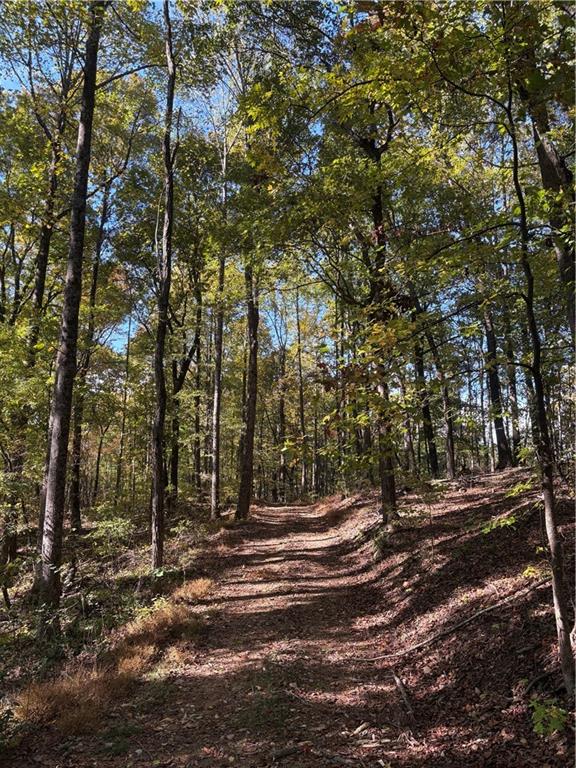 1600 Sunset Trail Talking Rock, GA 30175 - Photo 7 of 9