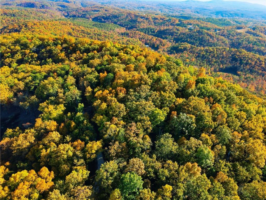 1600 Sunset Trail Talking Rock, GA 30175 - Photo 8 of 9