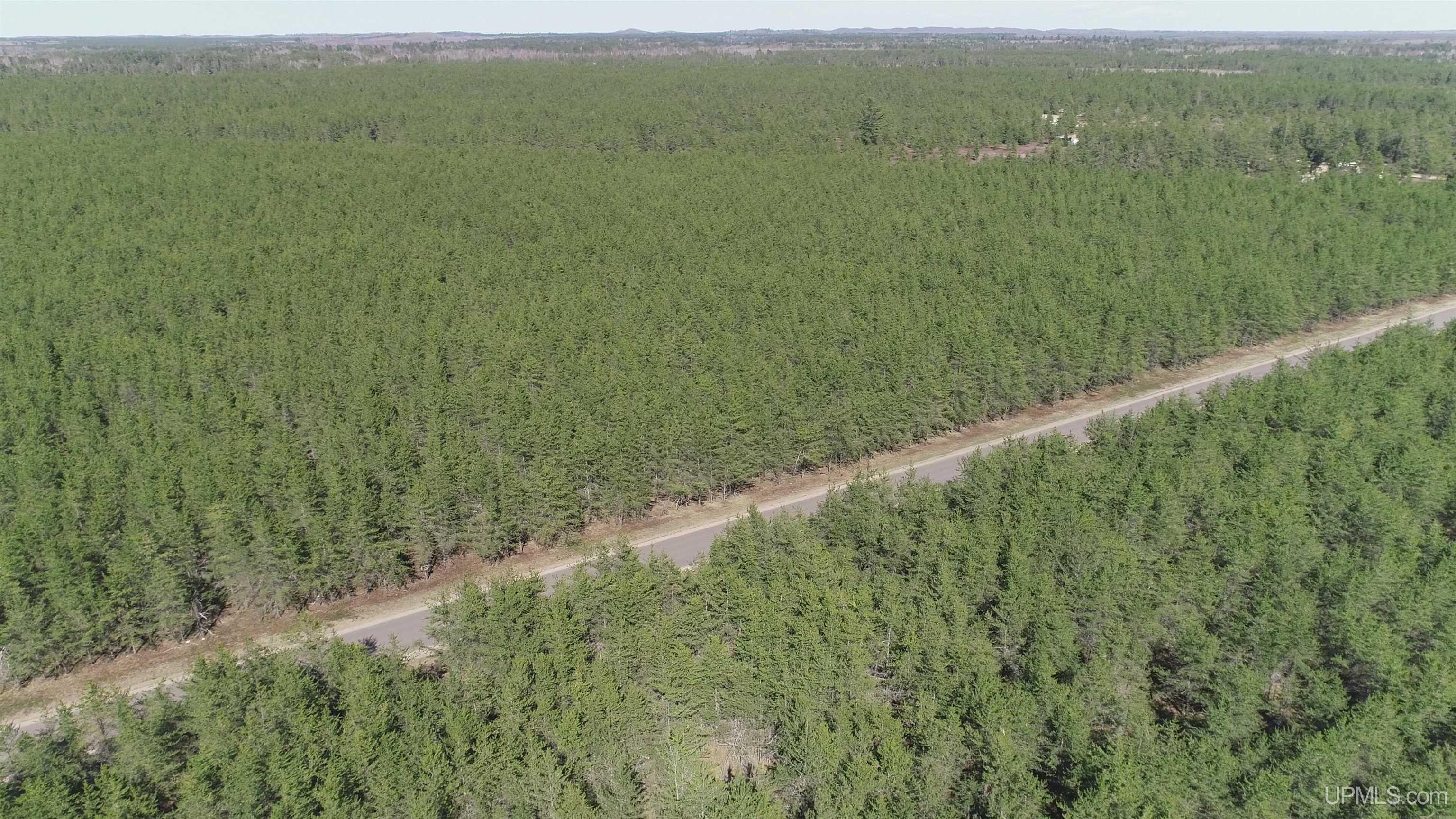 2 Rice Lake Road Gwinn, MI 49841 - Photo 12 of 24