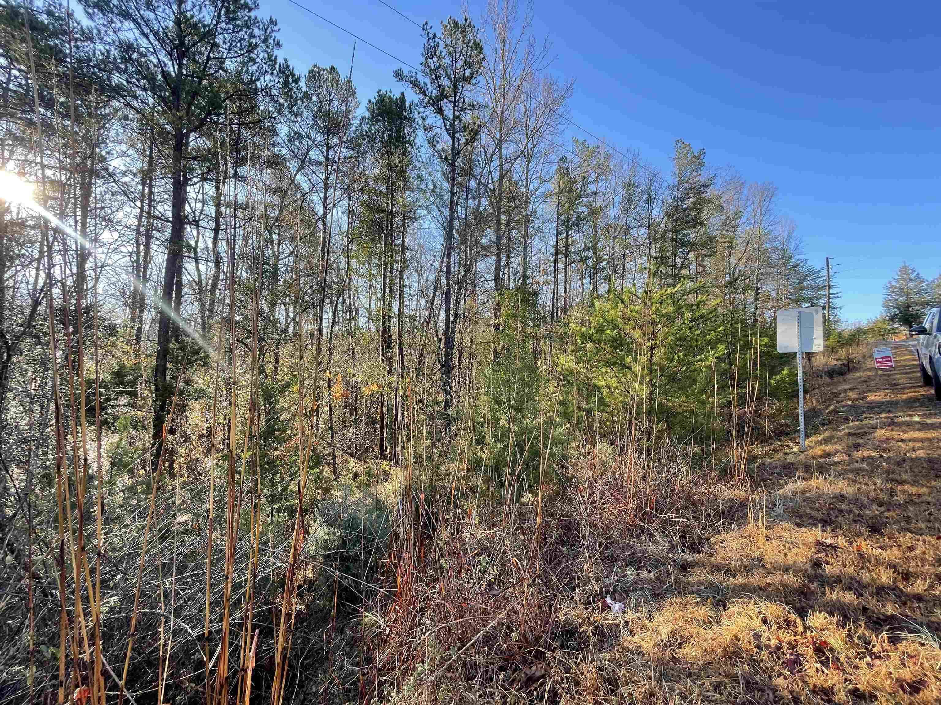 985 Evins Road Pauline, SC 29374 - Photo 2 of 8