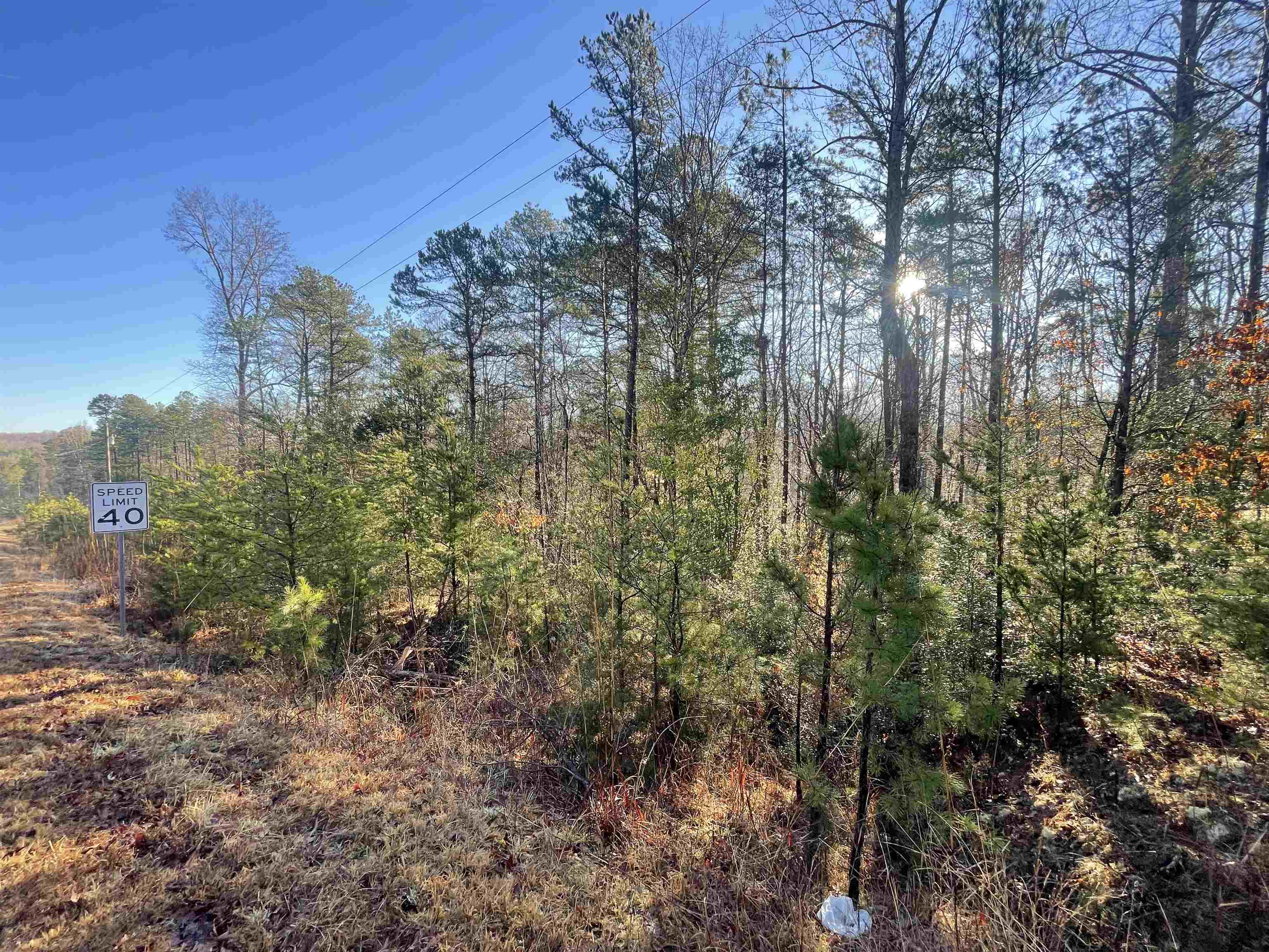 985 Evins Road Pauline, SC 29374 - Photo 3 of 8