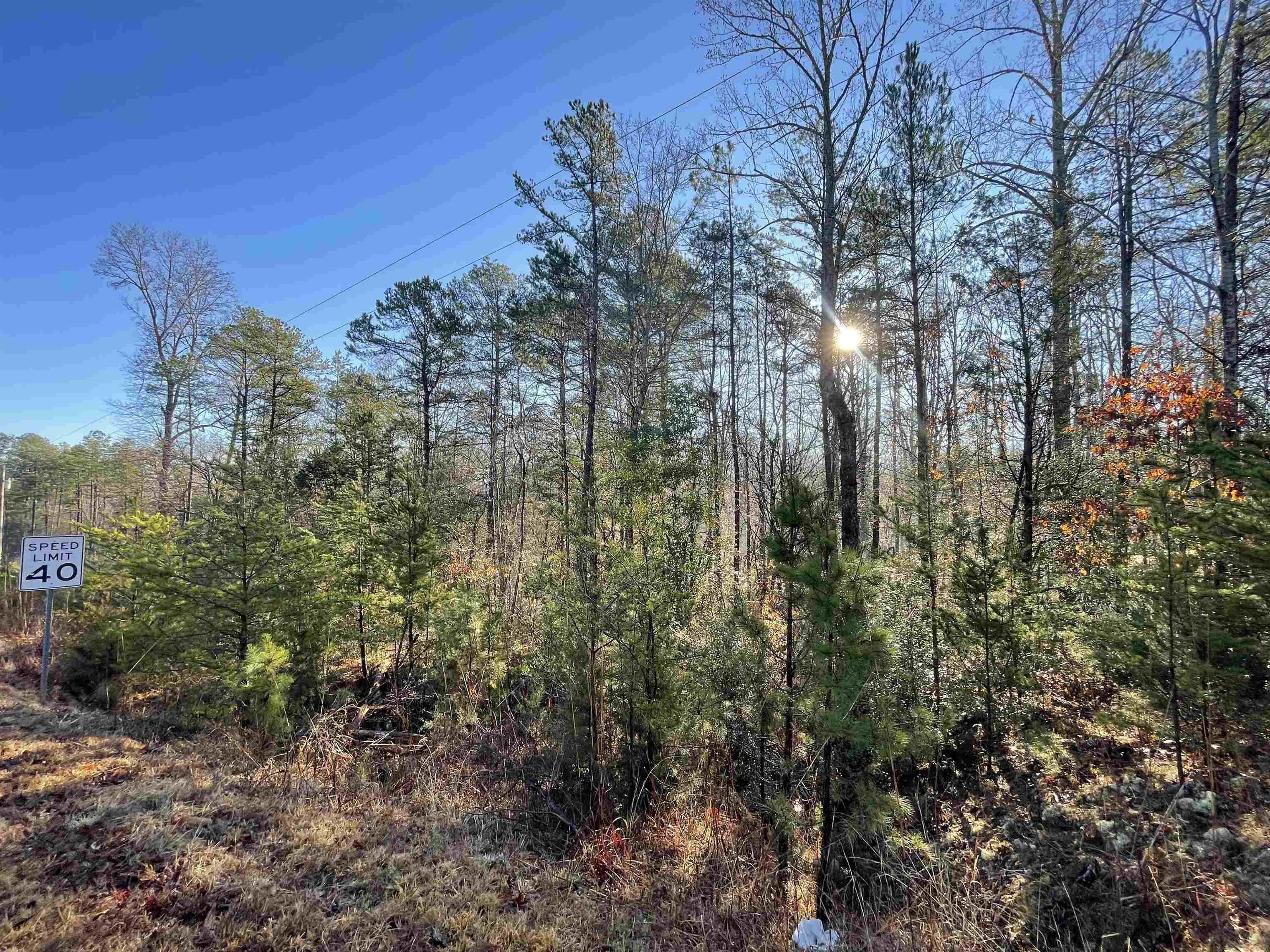 985 Evins Road Pauline, SC 29374 - Photo 5 of 8