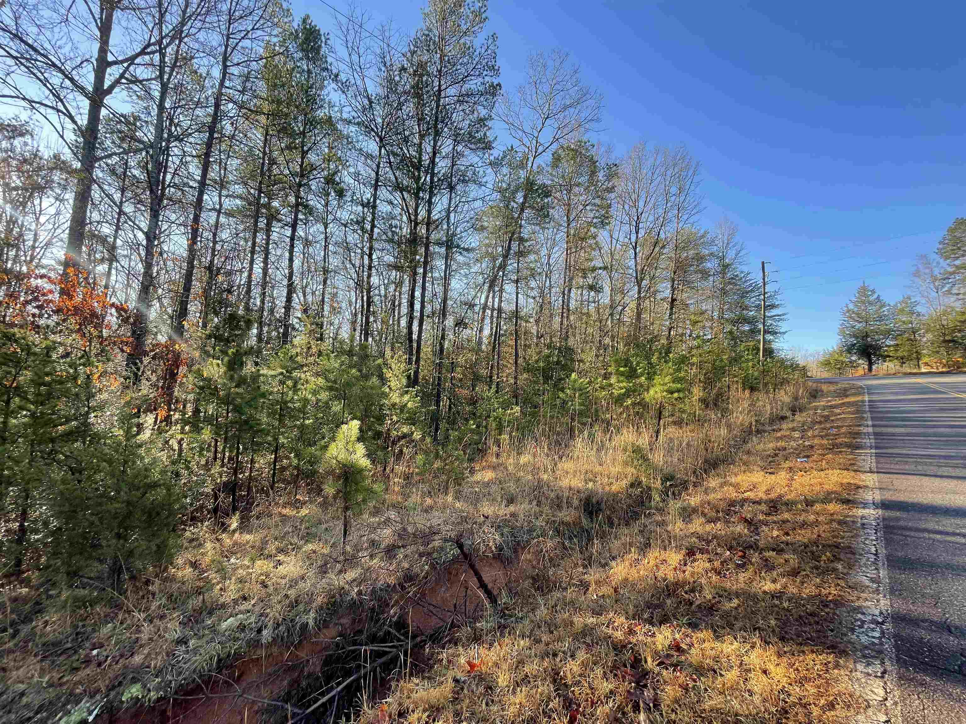 985 Evins Road Pauline, SC 29374 - Photo 6 of 8