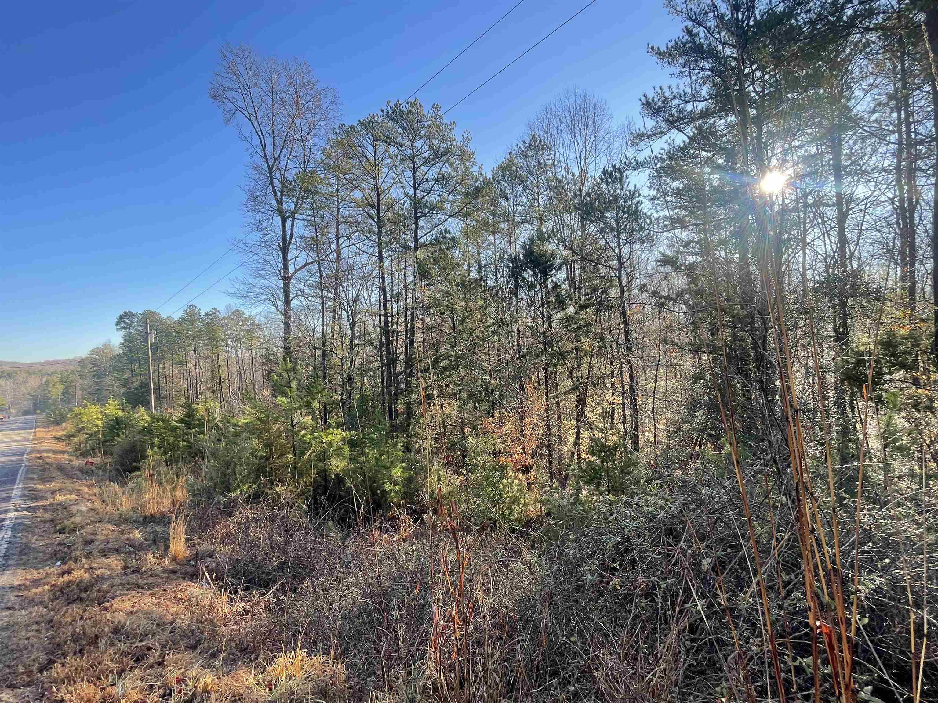 985 Evins Road Pauline, SC 29374 - Photo 7 of 8