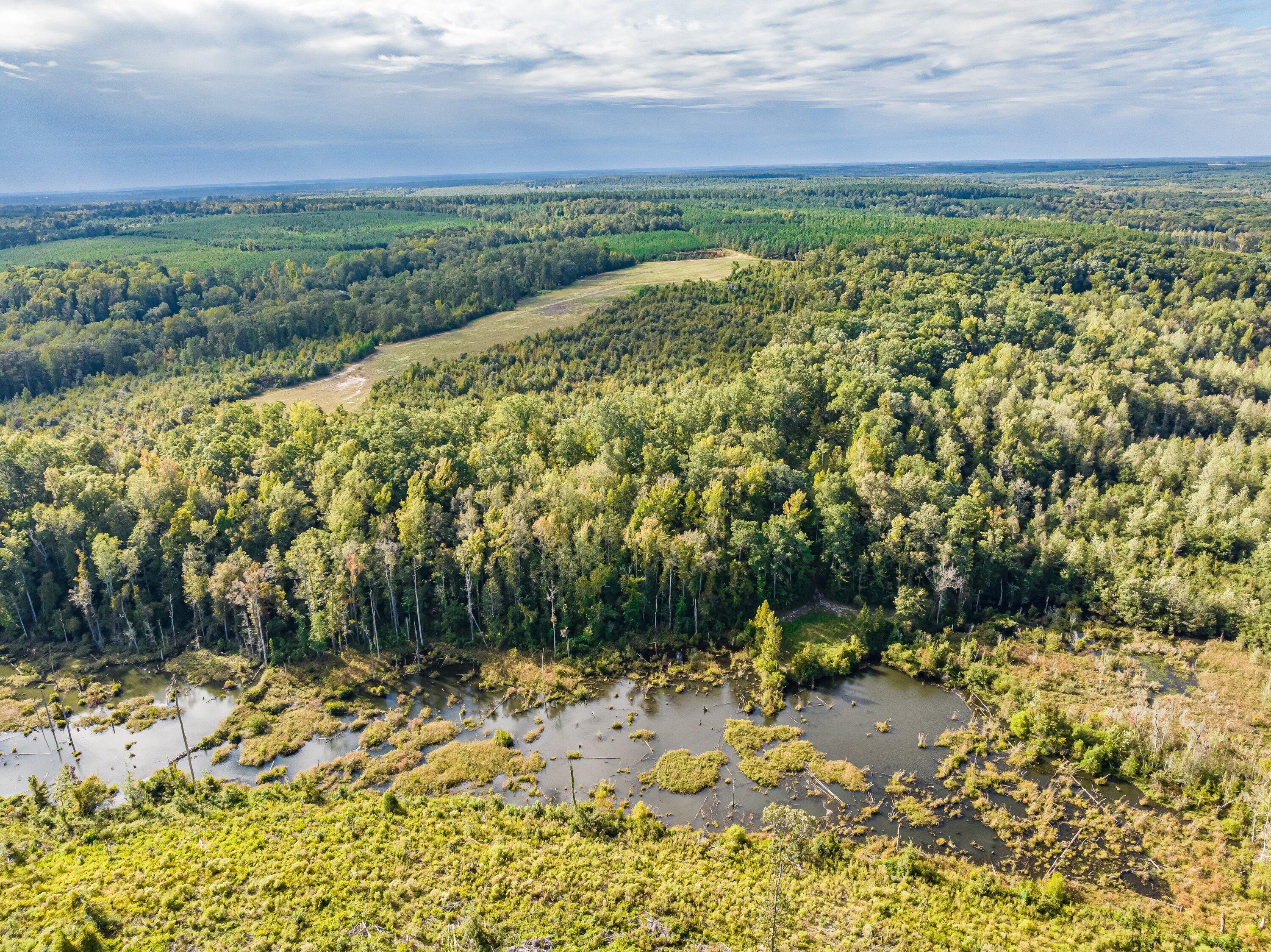 3275 Hadden Pond Road Avera, GA 30803 - Photo 65 of 69 DJI_0191-HDR