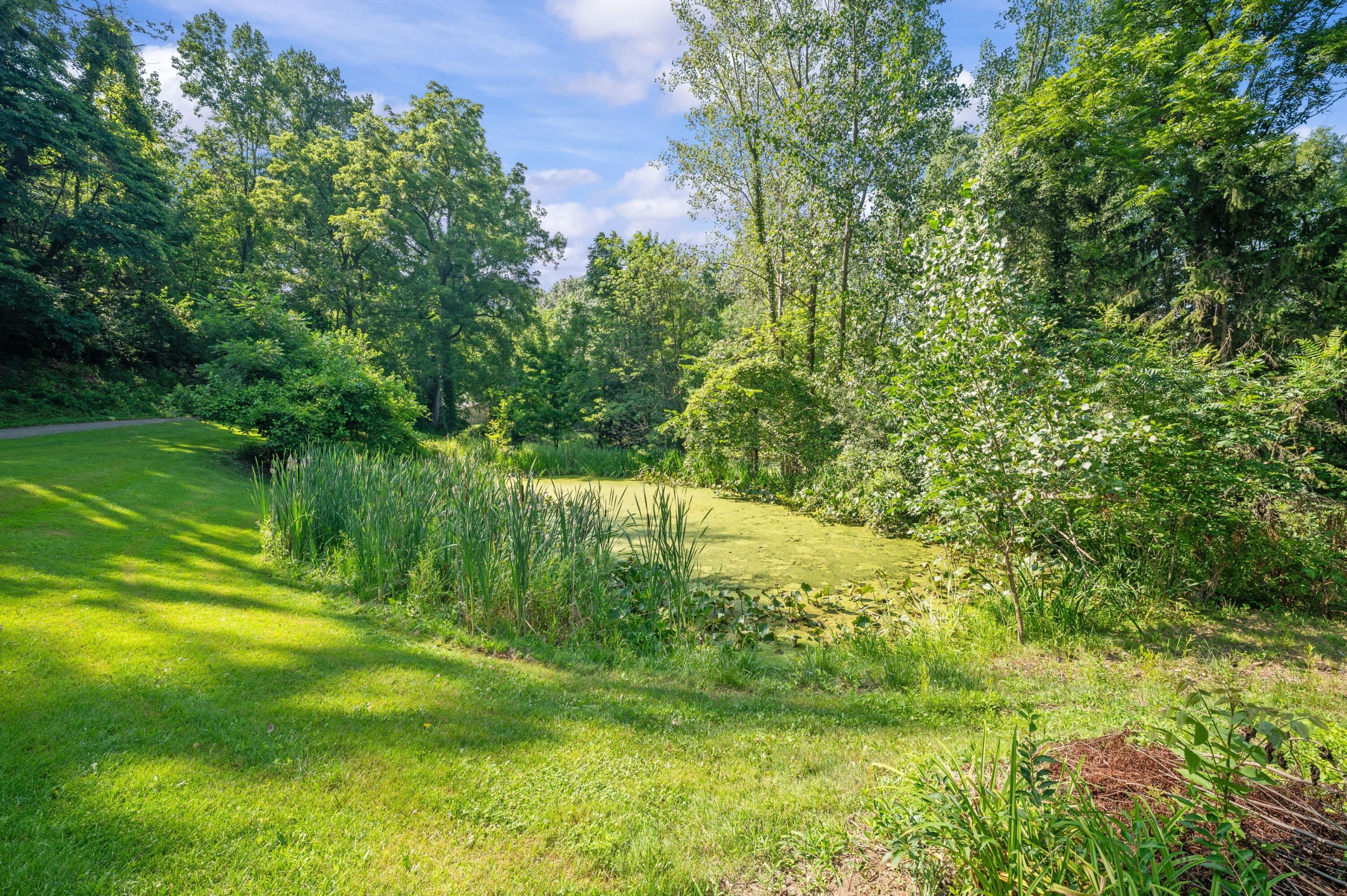 500 Tuttle Road Baroda, MI 49101 - Photo 66 of 83 70DSC_7949