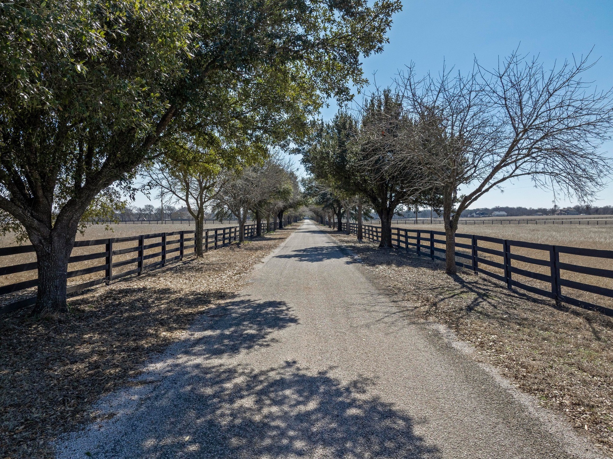 105 River Valley Drive Georgetown, TX 78626 - Photo 12 of 29 a view of outdoor space with trees