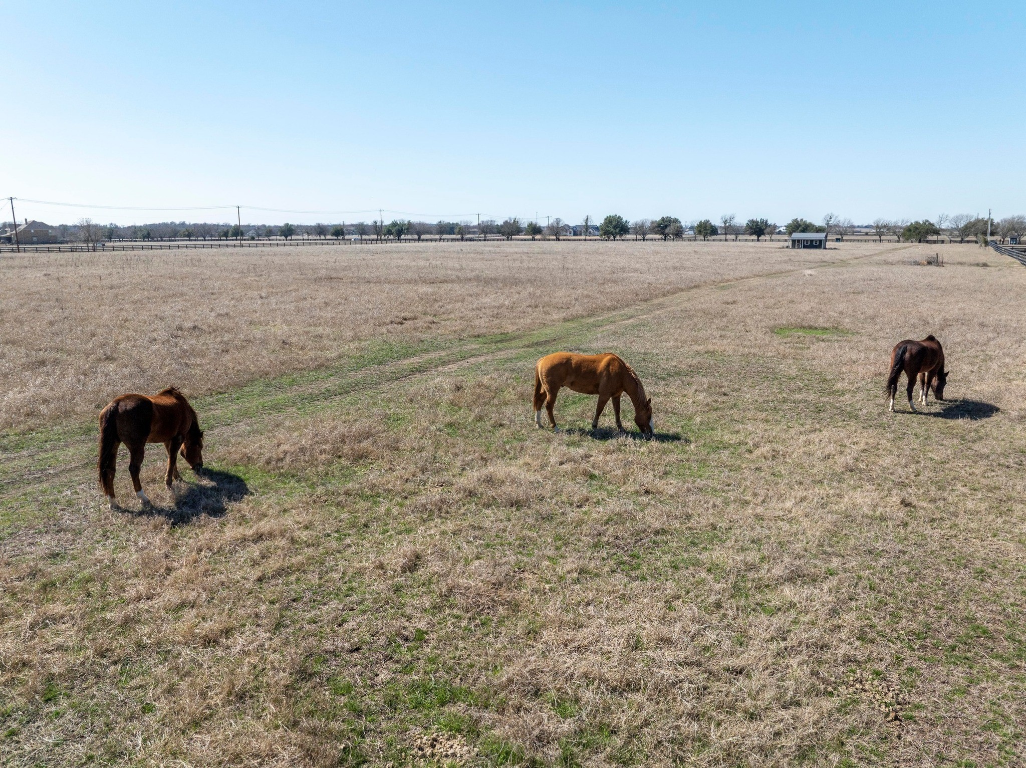 105 River Valley Drive Georgetown, TX 78626 - Photo 14 of 29 a view of a lake