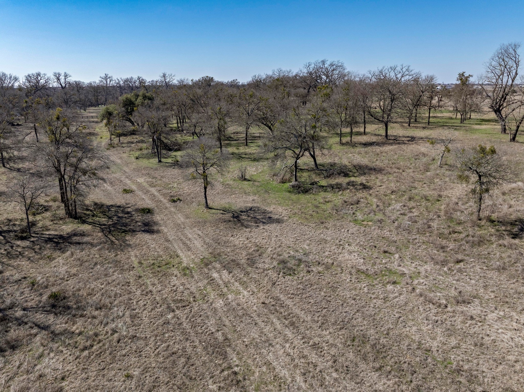 105 River Valley Drive Georgetown, TX 78626 - Photo 15 of 29 a view of a dry yard with trees