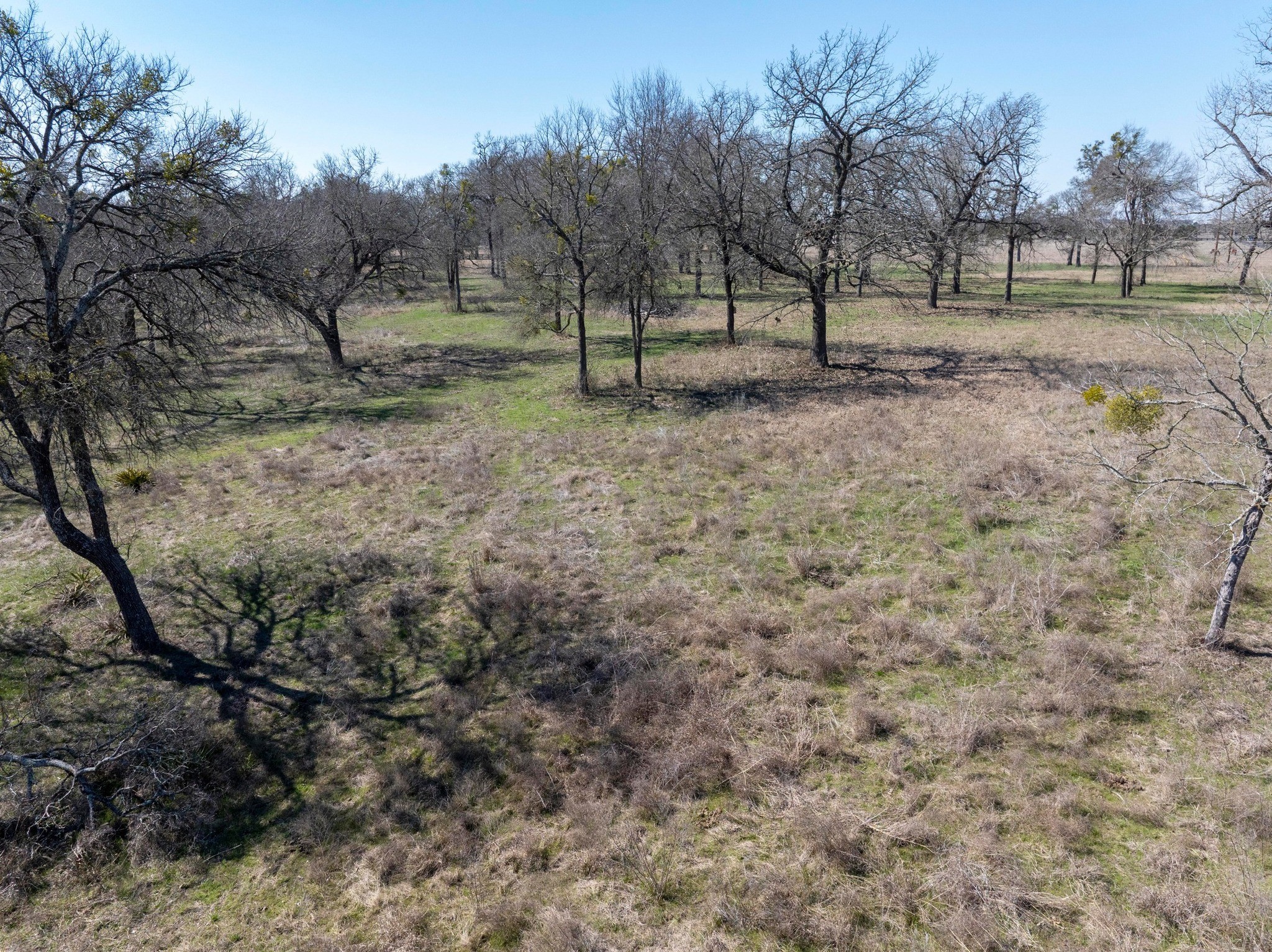 105 River Valley Drive Georgetown, TX 78626 - Photo 16 of 29 a view of a yard with lots of green space