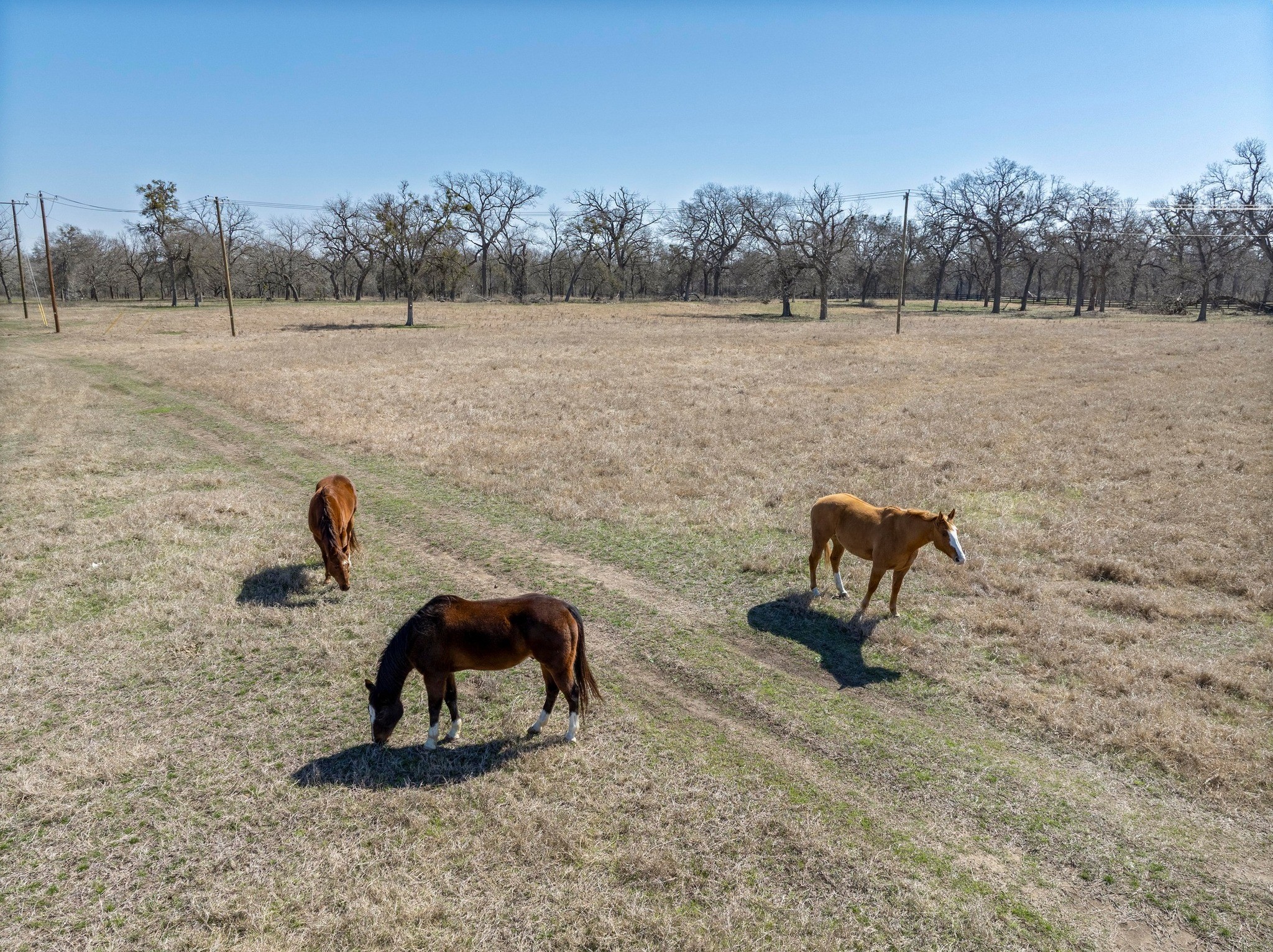 105 River Valley Drive Georgetown, TX 78626 - Photo 17 of 29 a view of a lake