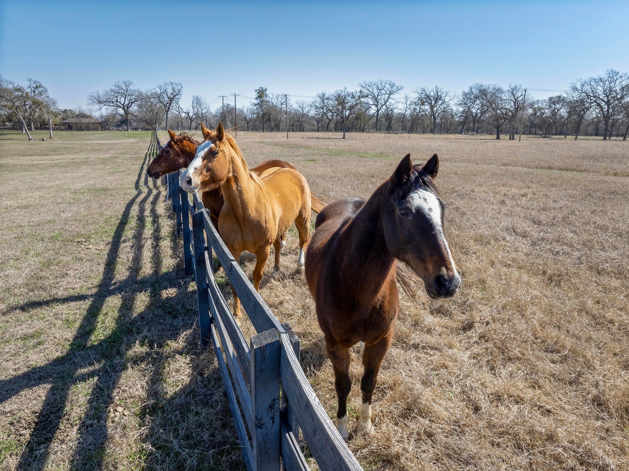 105 River Valley Drive Georgetown, TX 78626 - Photo 20 of 29 a view of stairs and a yard