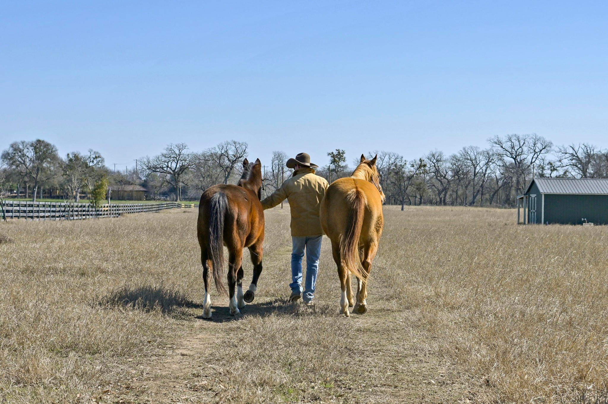 105 River Valley Drive Georgetown, TX 78626 - Photo 2 of 29 a view of three outdoor space