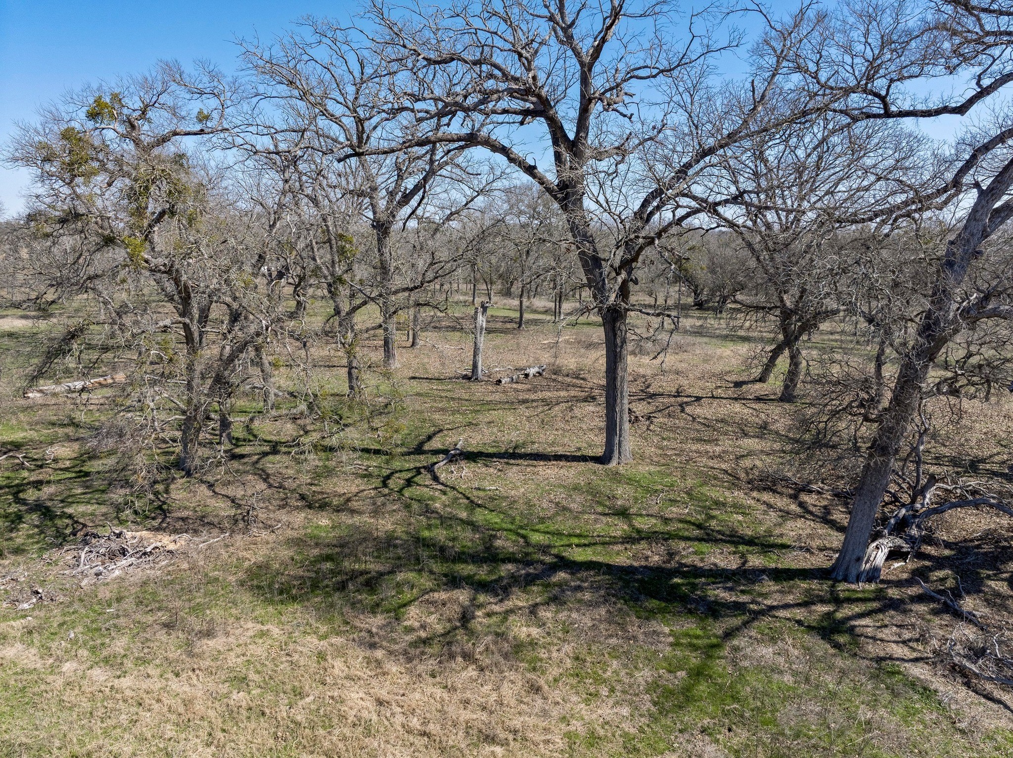 105 River Valley Drive Georgetown, TX 78626 - Photo 23 of 29 a view of a yard with trees