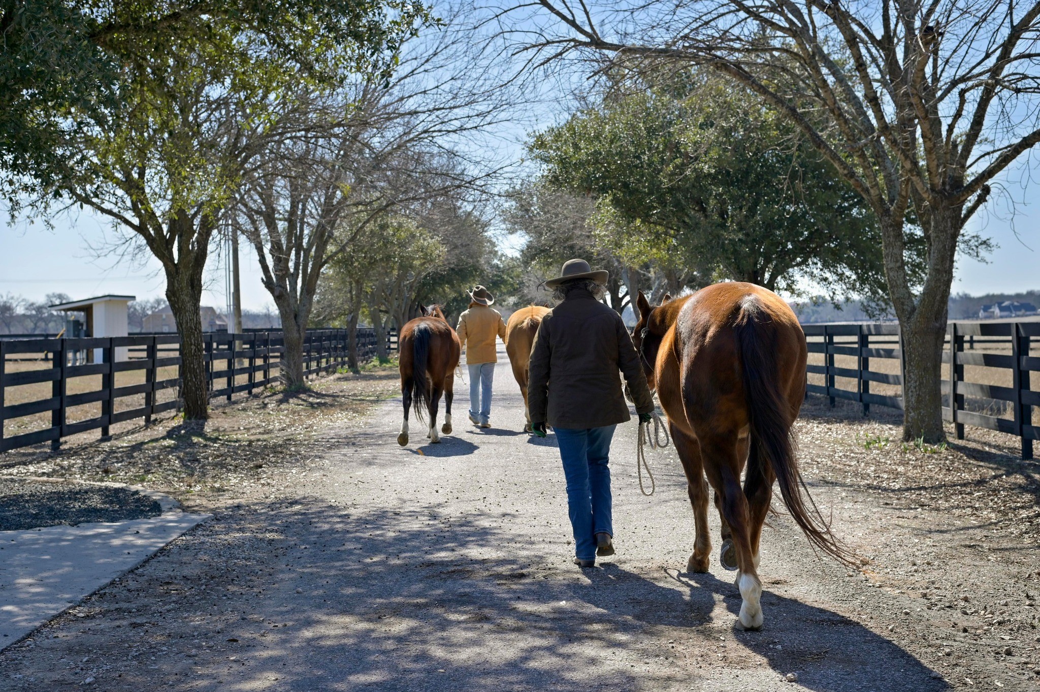 105 River Valley Drive Georgetown, TX 78626 - Photo 25 of 29 a view of street with trees