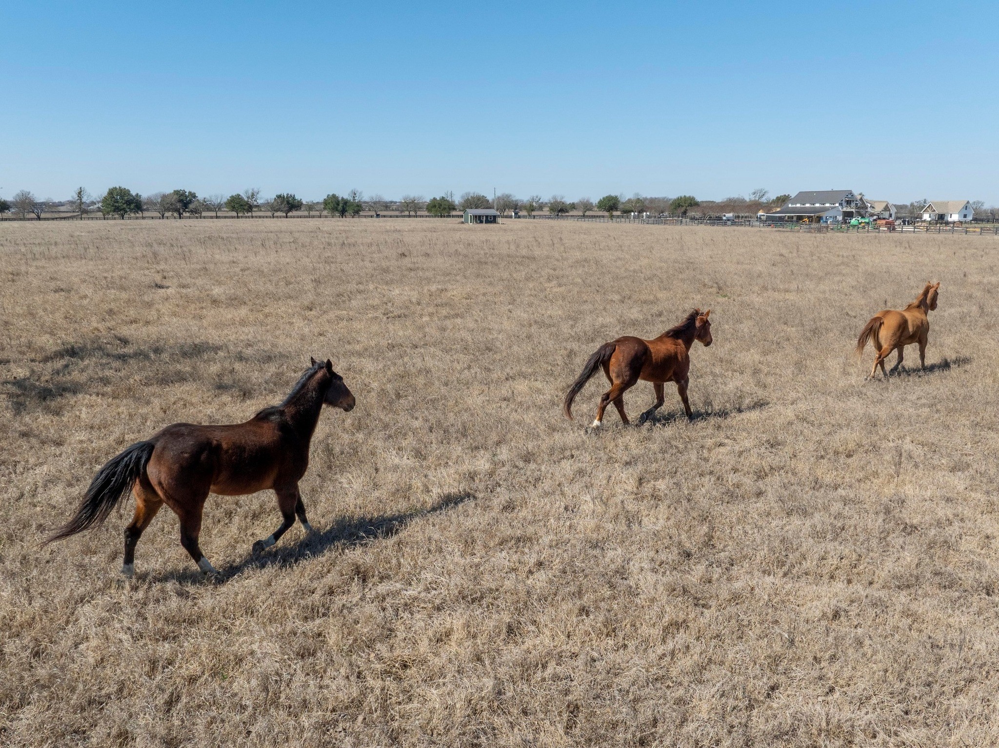 105 River Valley Drive Georgetown, TX 78626 - Photo 26 of 29 a couple of chairs that are on a lake