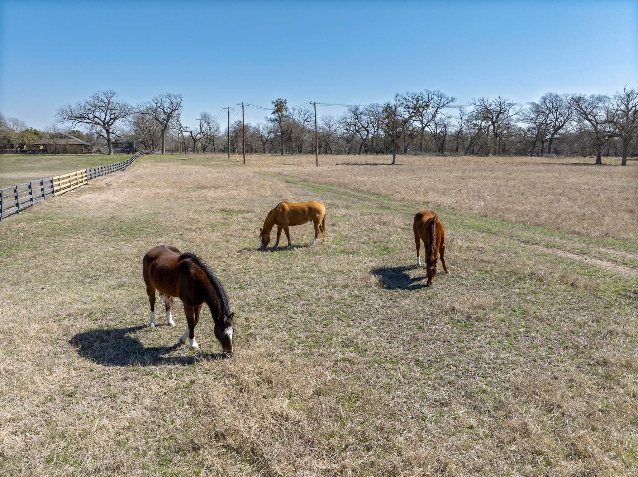 105 River Valley Drive Georgetown, TX 78626 - Photo 27 of 29 a view of a lake