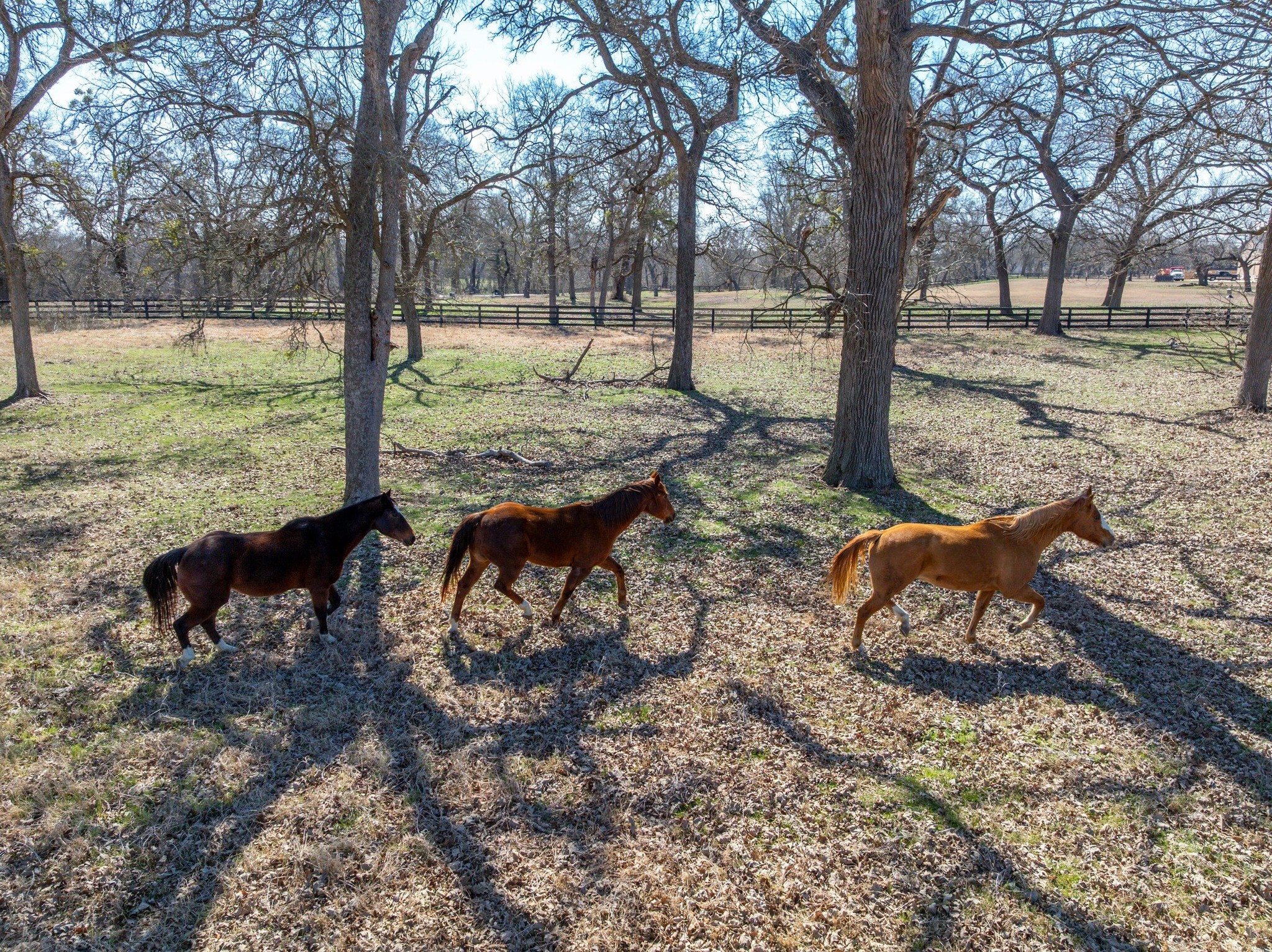 105 River Valley Drive Georgetown, TX 78626 - Photo 3 of 29 a view of a yard with furniture and trees