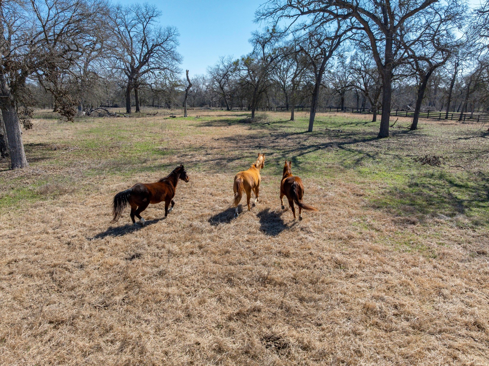 105 River Valley Drive Georgetown, TX 78626 - Photo 7 of 29 a backyard of a house with barbeque oven and outdoor seating