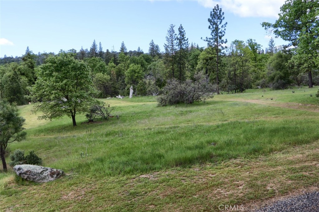 5027 Fox Creek Road Mariposa, CA 95338 - Photo 59 of 75 a view of outdoor space and yard