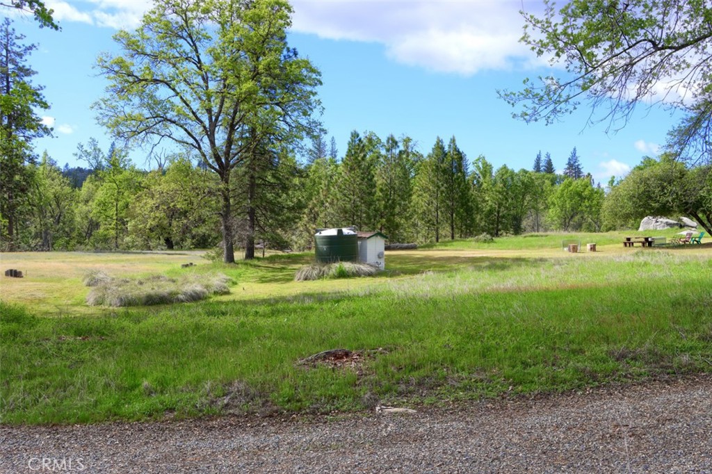 5027 Fox Creek Road Mariposa, CA 95338 - Photo 60 of 75 a view of outdoor space with garden and trees