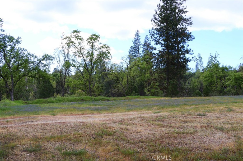 5027 Fox Creek Road Mariposa, CA 95338 - Photo 62 of 75 a view of outdoor space with trees all around