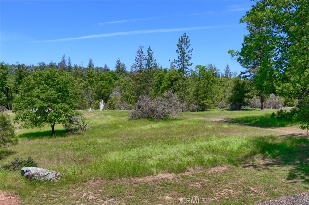 5027 Fox Creek Road Mariposa, CA 95338 - Photo 67 of 75 a view of a garden with a building in the background
