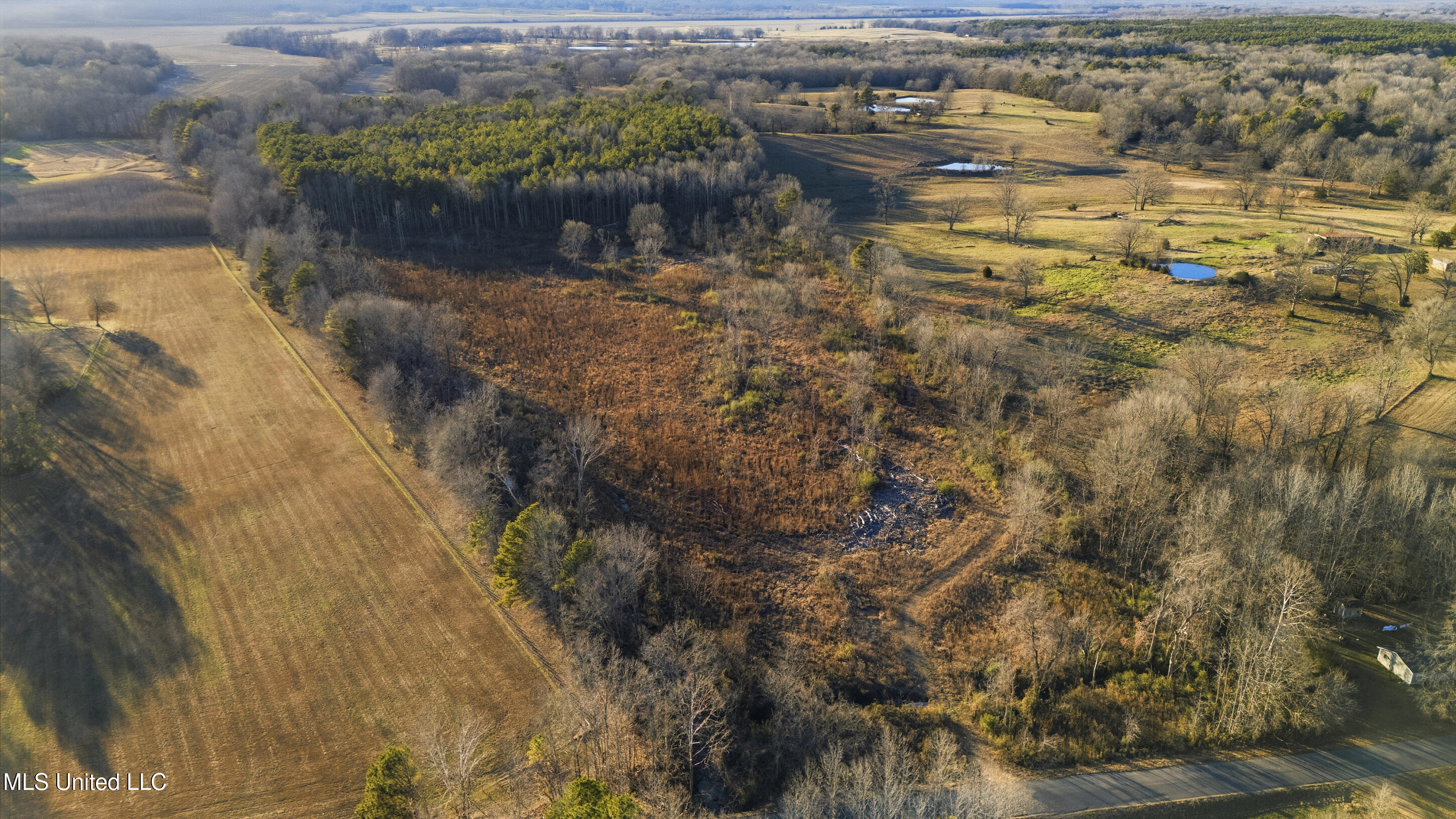 Gravel Springs Road Senatobia, MS 38668 - Photo 11 of 14 6_gravel-springs_6