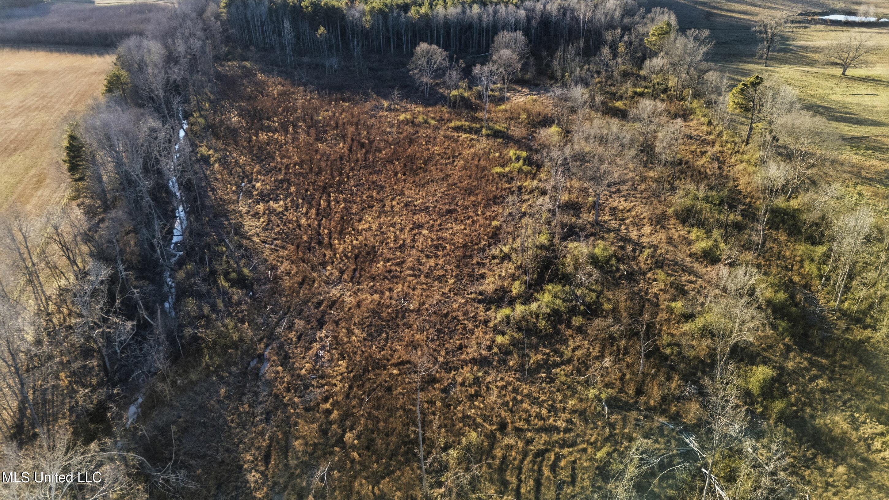 Gravel Springs Road Senatobia, MS 38668 - Photo 12 of 14 7_gravel-springs_7
