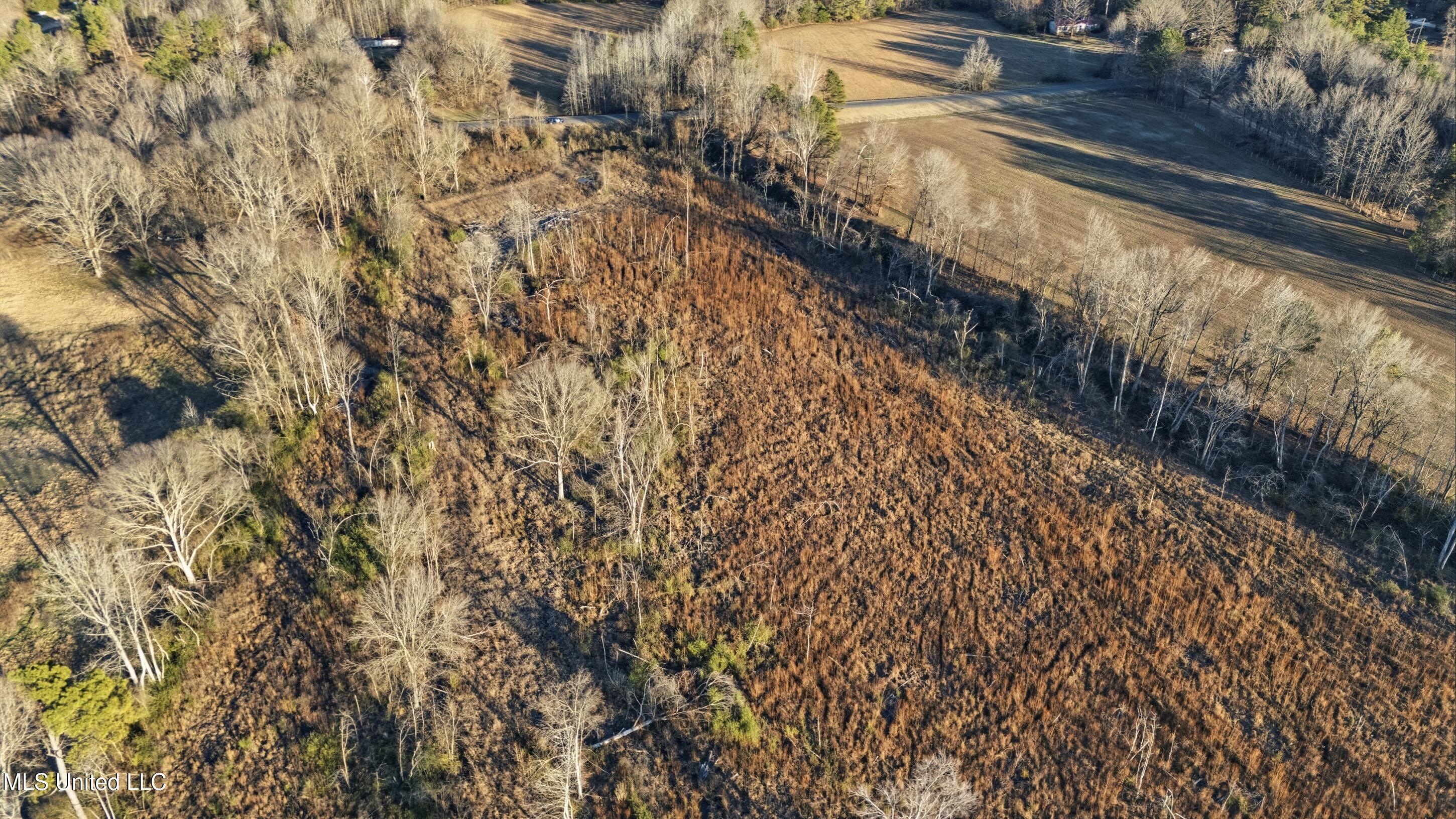 Gravel Springs Road Senatobia, MS 38668 - Photo 13 of 14 8_gravel-springs_8