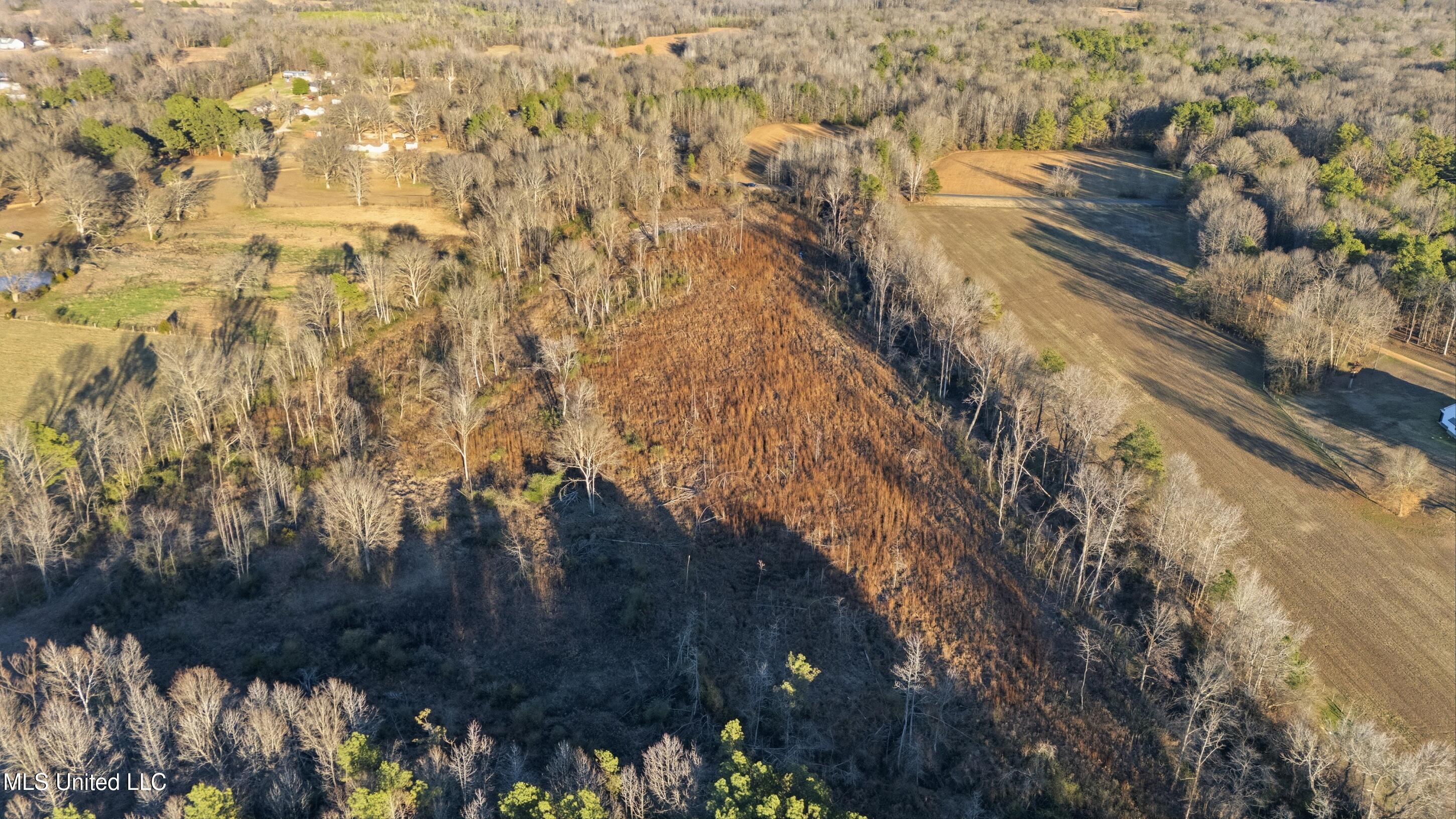 Gravel Springs Road Senatobia, MS 38668 - Photo 14 of 14 9_gravel-springs_9