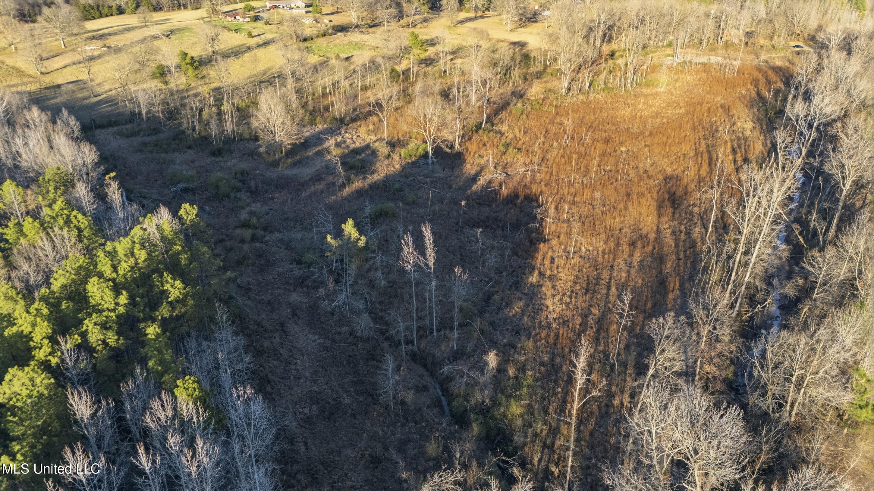 Gravel Springs Road Senatobia, MS 38668 - Photo 2 of 14 10_gravel-springs_10