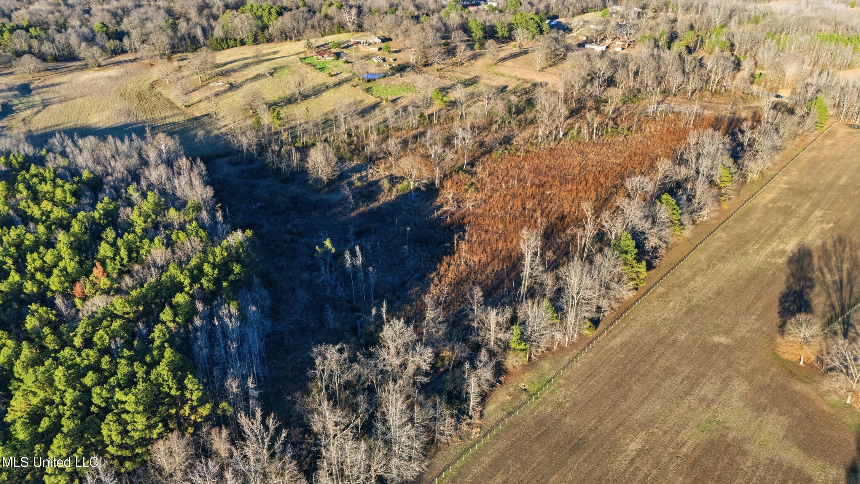 Gravel Springs Road Senatobia, MS 38668 - Photo 3 of 14 11_gravel-springs_11