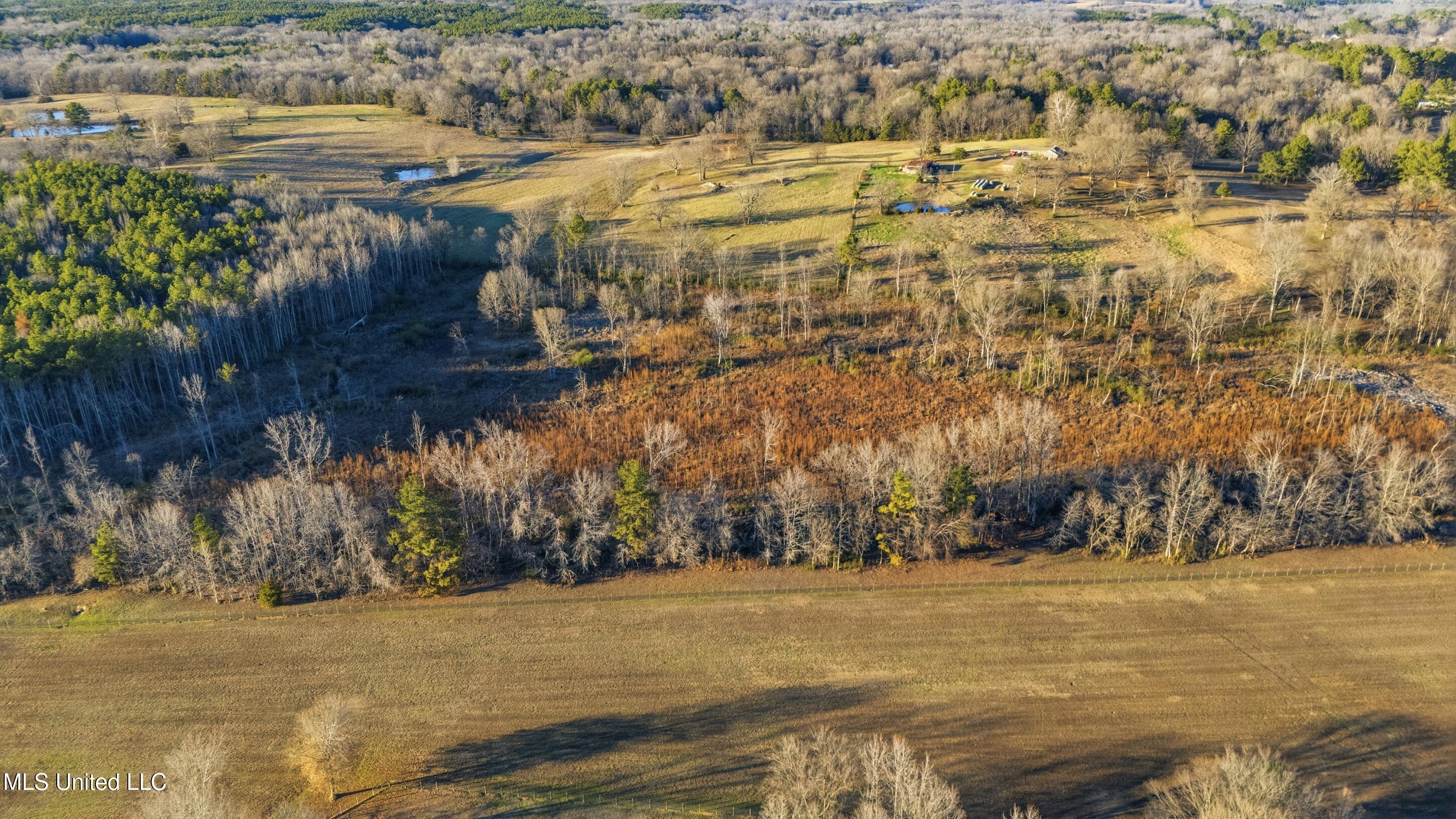 Gravel Springs Road Senatobia, MS 38668 - Photo 4 of 14 12_gravel-springs_12