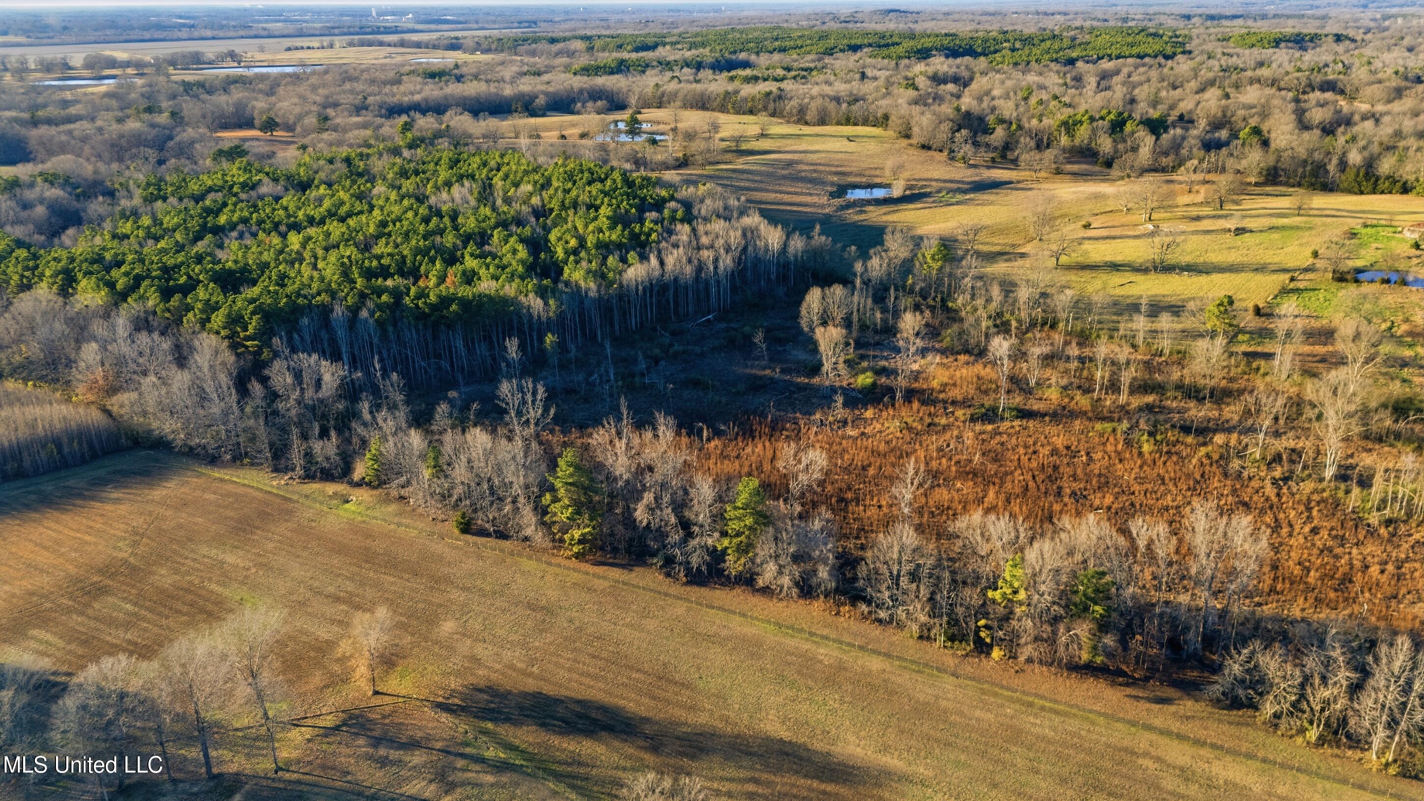 Gravel Springs Road Senatobia, MS 38668 - Photo 5 of 14 13_gravel-springs_13