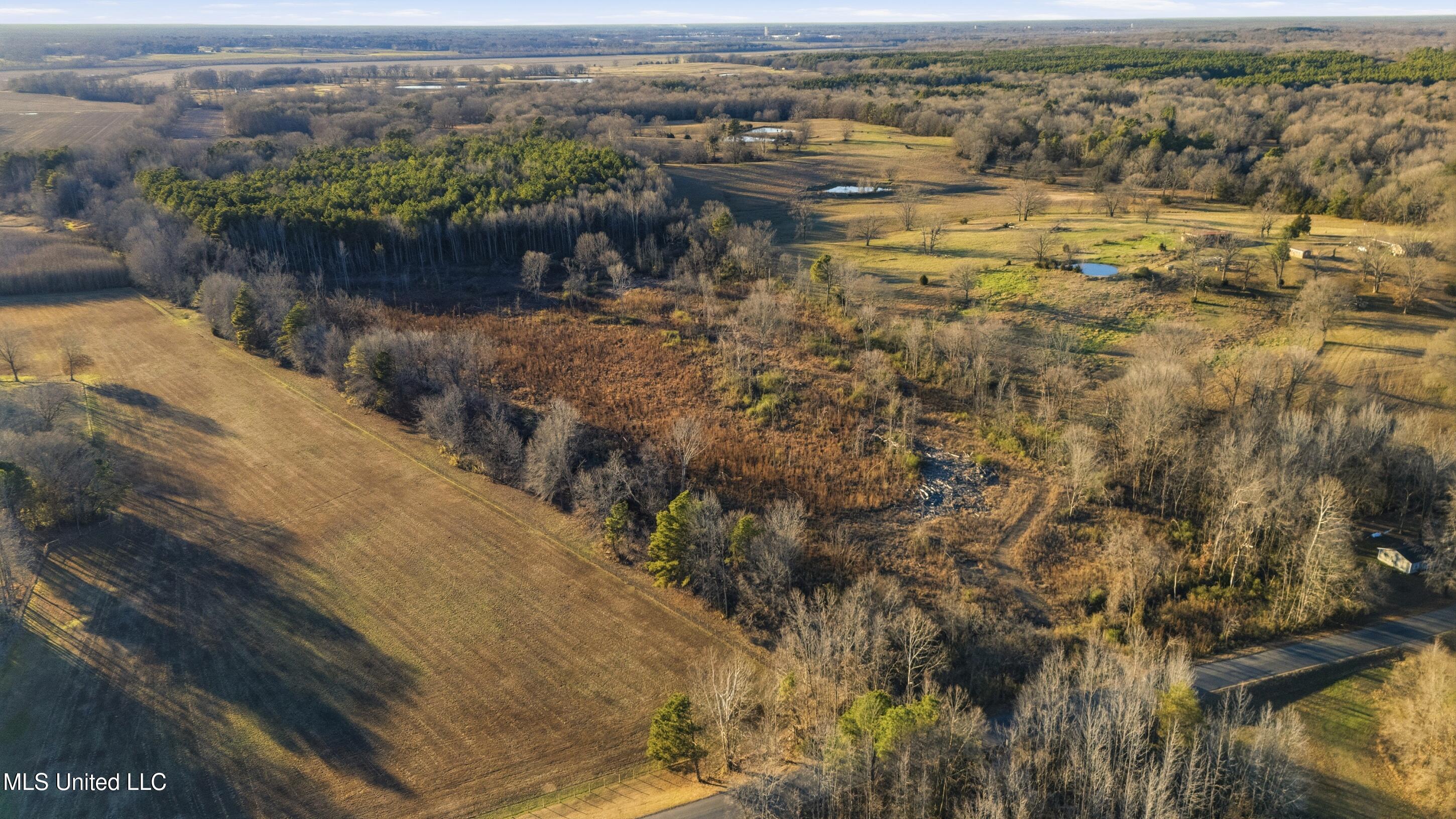 Gravel Springs Road Senatobia, MS 38668 - Photo 6 of 14 14_gravel-springs_14