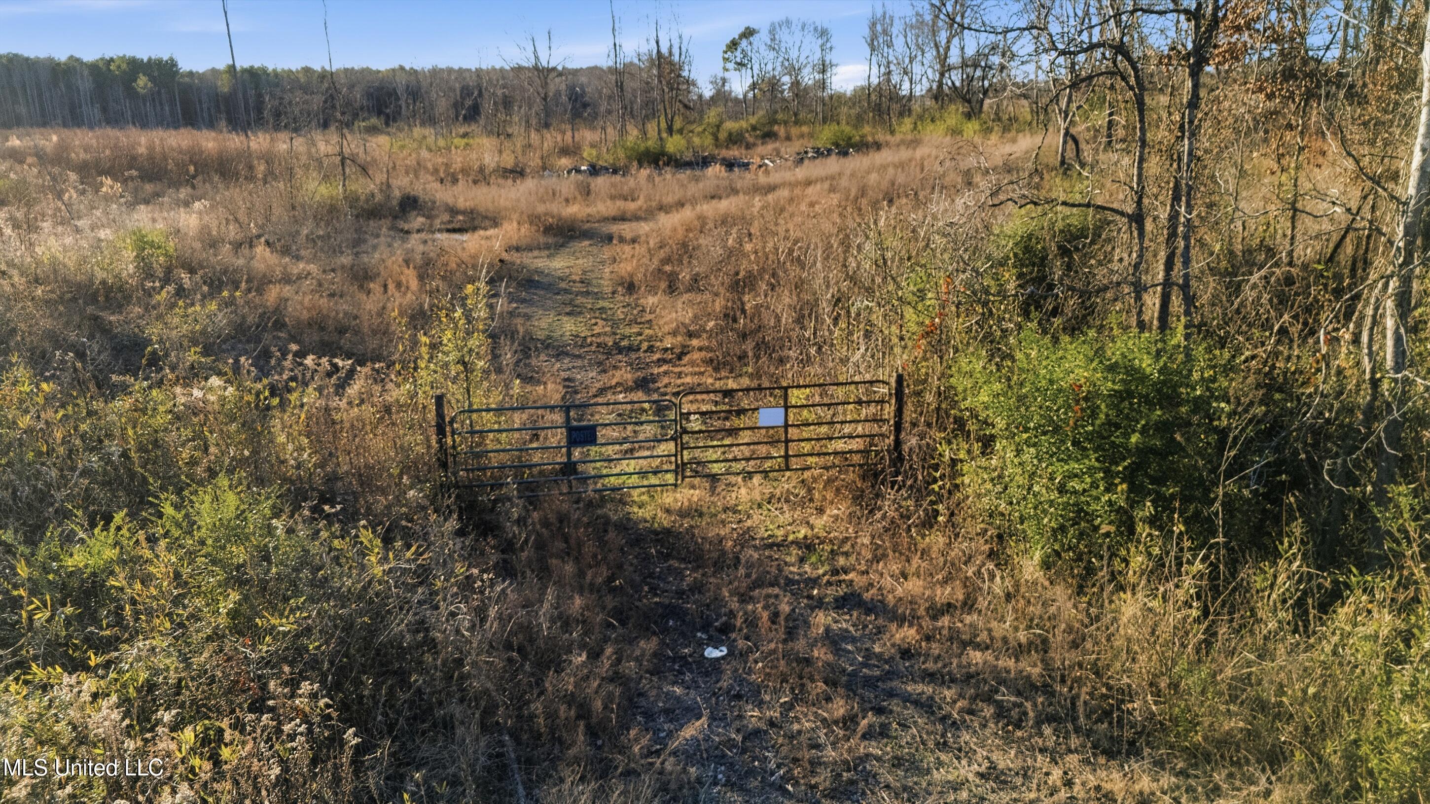 Gravel Springs Road Senatobia, MS 38668 - Photo 7 of 14 2_gravel-springs_1