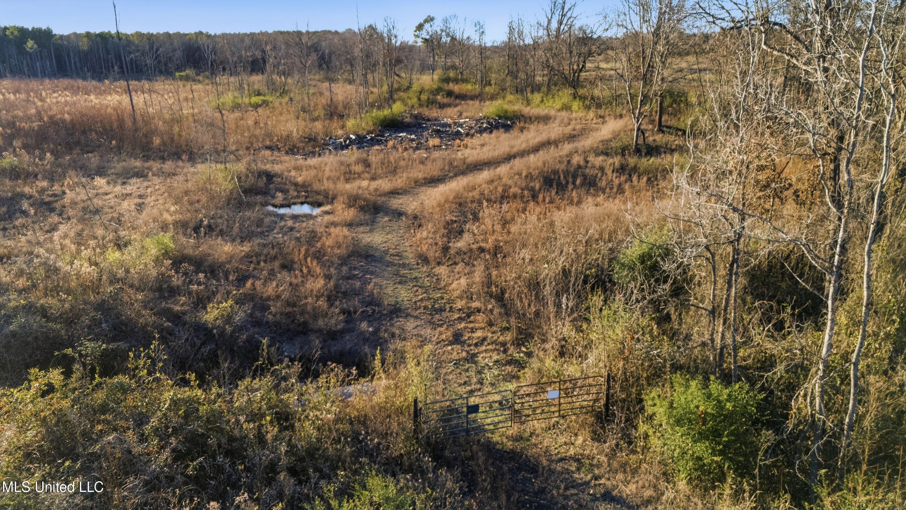Gravel Springs Road Senatobia, MS 38668 - Photo 8 of 14 3_gravel-springs_2