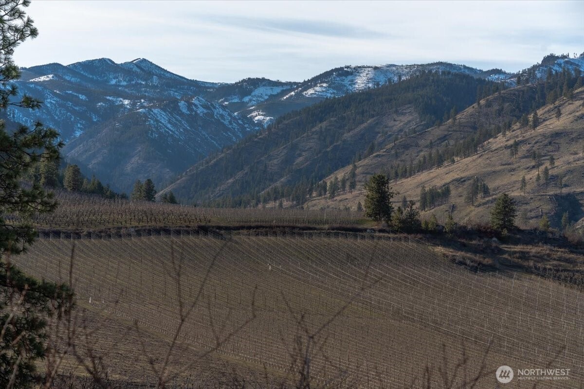 990 Upper Ridge Road Chelan, WA 98816 - Photo 35 of 37 Gallery Image 35