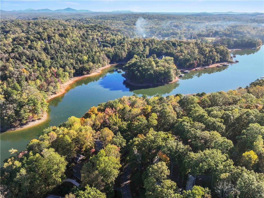 6185 Timberidge Drive Gainesville, GA 30506 - Photo 13 of 50 a view of a lake with a mountain in the background
