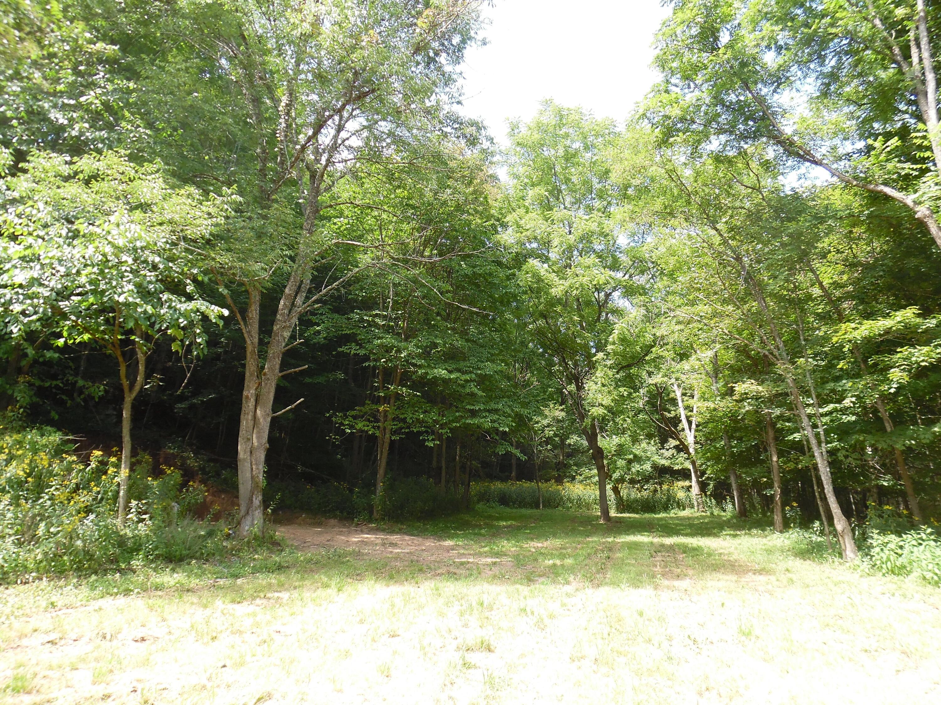 6234 Edray Road Cass, WV 24927 - Photo 46 of 66 Gallery Image 46