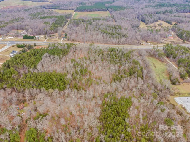 a view of a yard with large tree