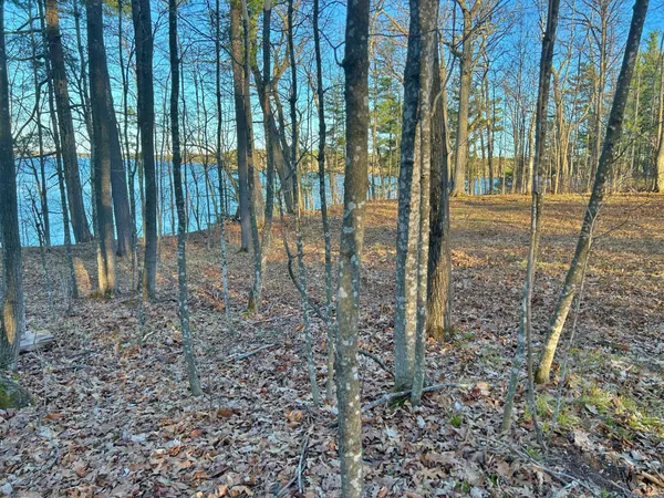 $750,000 | 10358 White Bear Avenue, Hayward, WI 54843