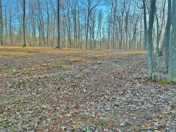 $750,000 | 10358 White Bear Avenue, Hayward, WI 54843