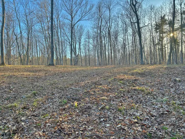 $750,000 | 10358 White Bear Avenue, Hayward, WI 54843