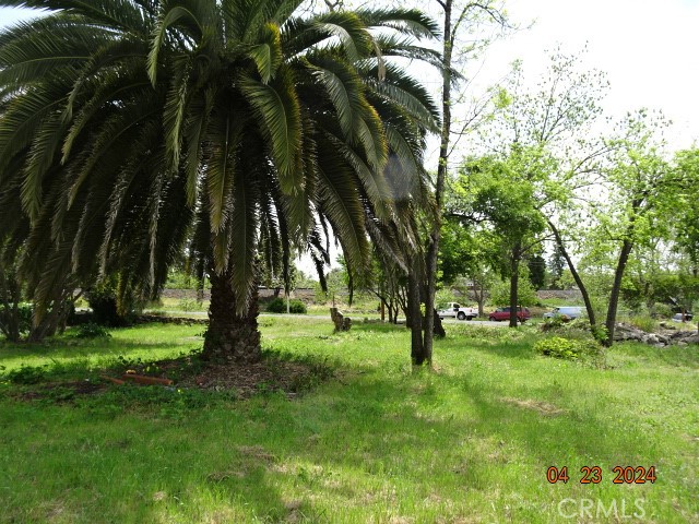 a view of park