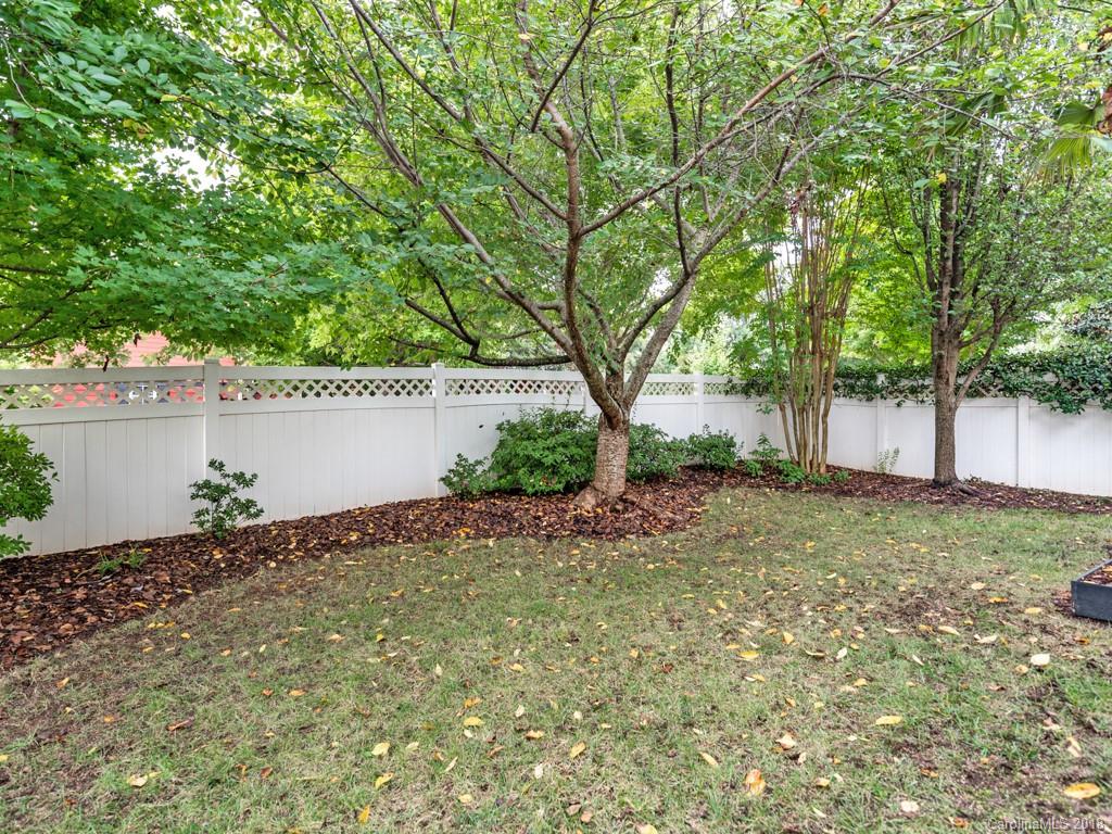 1148 Market Street Fort Mill, SC 29708 - Photo 23 of 25 a backyard of a house with lots of green space