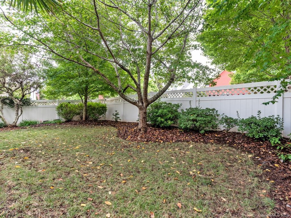 1148 Market Street Fort Mill, SC 29708 - Photo 24 of 25 a backyard of a house with lots of green space