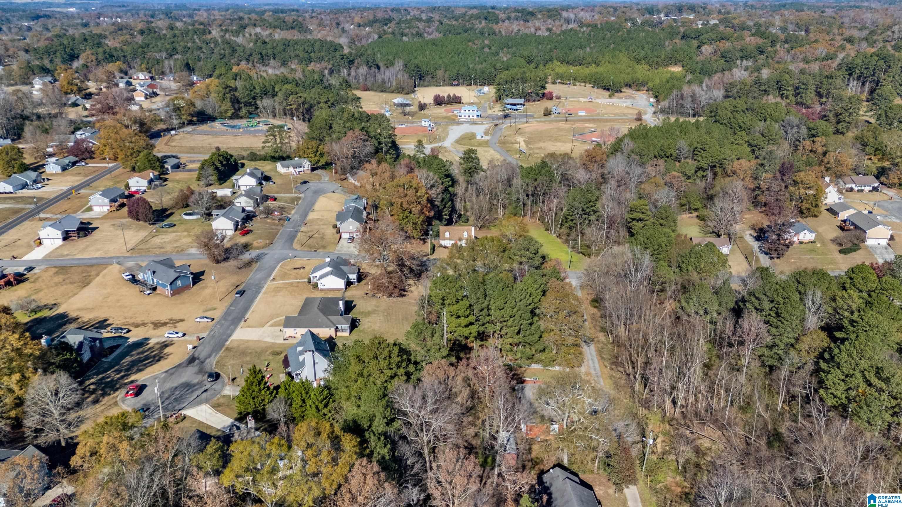 7808 Summer Circle Morris, AL 35116 - Photo 50 of 56